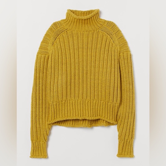 H&M - Rib-knit Turtleneck Sweater - Picture 4 of 7